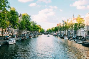 Haarlem Instagram Spots: 15 Meest Fotogenieke Plekken 13 adrien olichon QRtym77B6xk unsplash