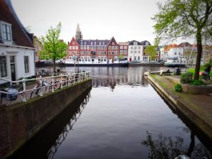 IMG 0102